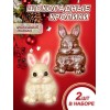 Шоколадные кролики - набор из 2 фигурок 2 D (белый и молочный шоколад)