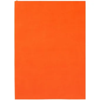 Ежедневник Flat Light, недатированный, оранжевый