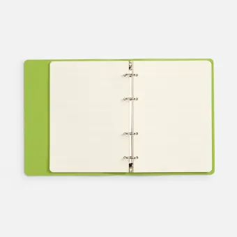 Ежедневник Ringo, недатированный, зеленый Ежедневник Ringo, недатированный, зеленый