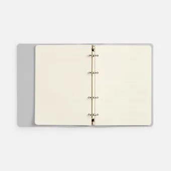 Ежедневник Ringo, недатированный, серебристый Ежедневник Ringo, недатированный, серебристый